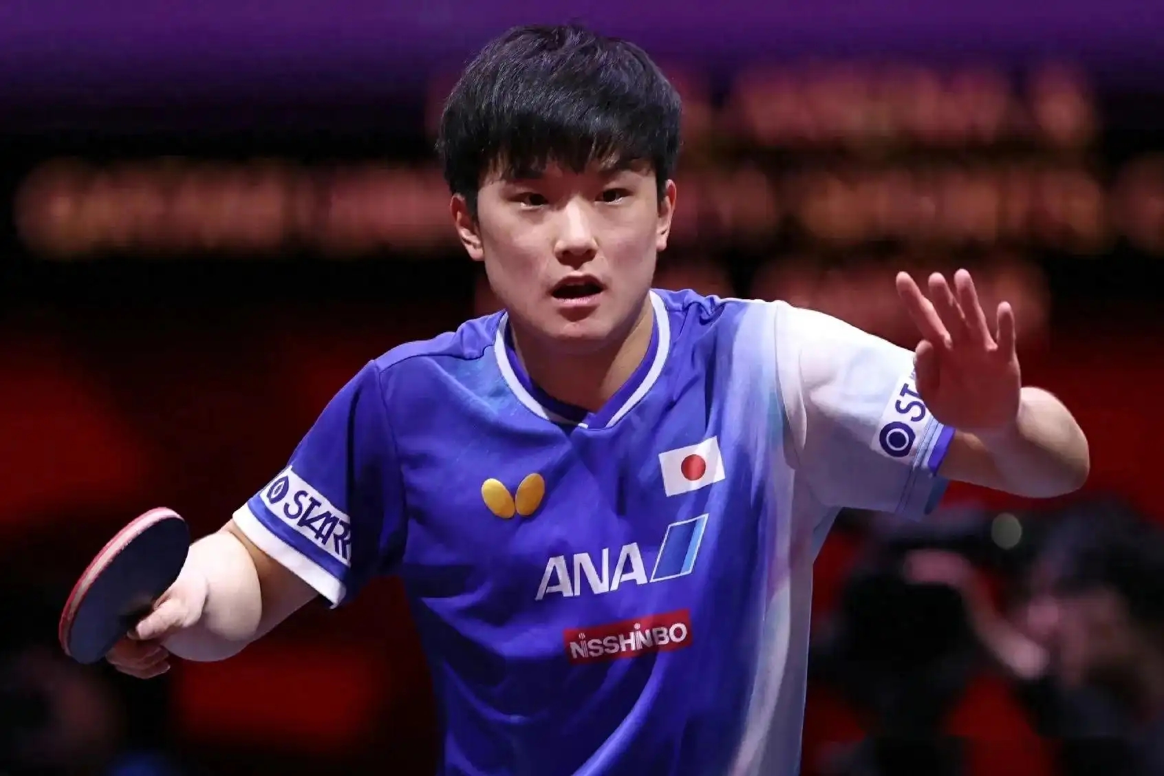 中国乒乓球队强势英国乒乓球队,张本智和打破历史纪录的简单介绍 中国乒乓球队强势英国乒乓球队,张本智和打破历史纪录的简单介绍