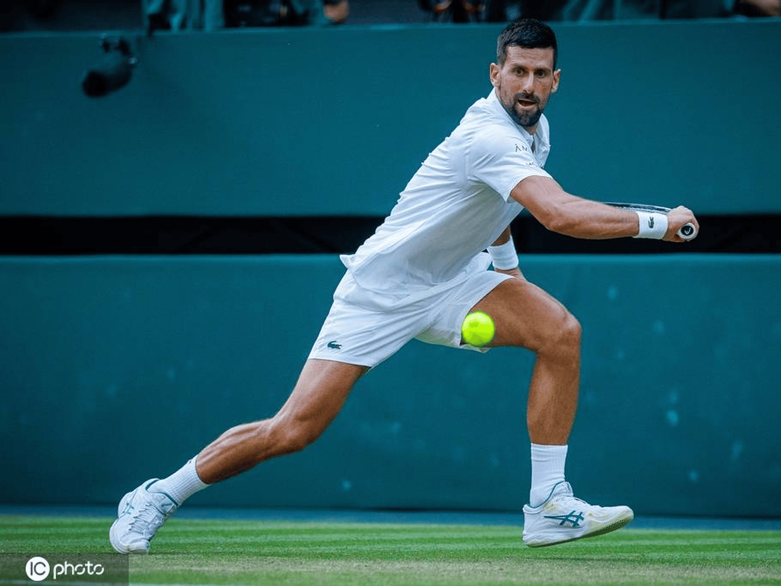 拉沃尔杯鏖战温网,德约科维奇关键制胜 拉沃尔杯鏖战温网,德约科维奇关键制胜