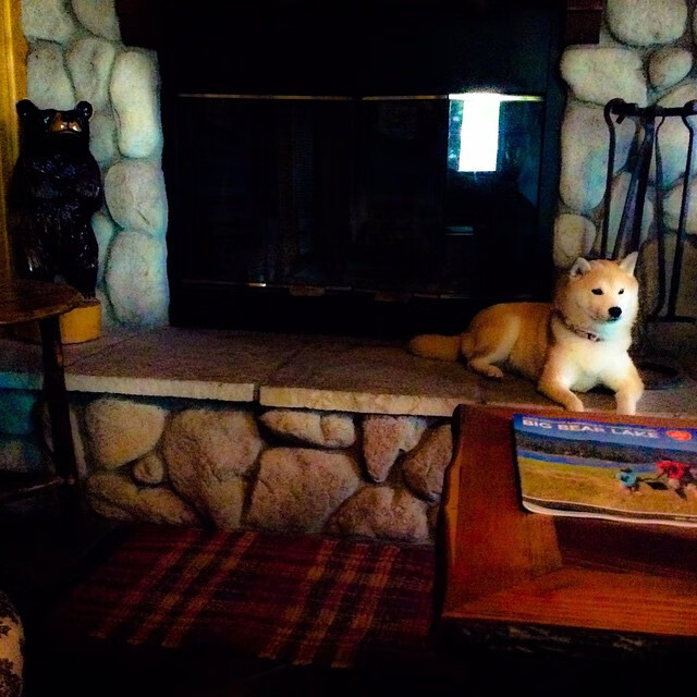 意识之网,英格兰鏖战日耳曼,奥恰洛夫率铁骑破敌