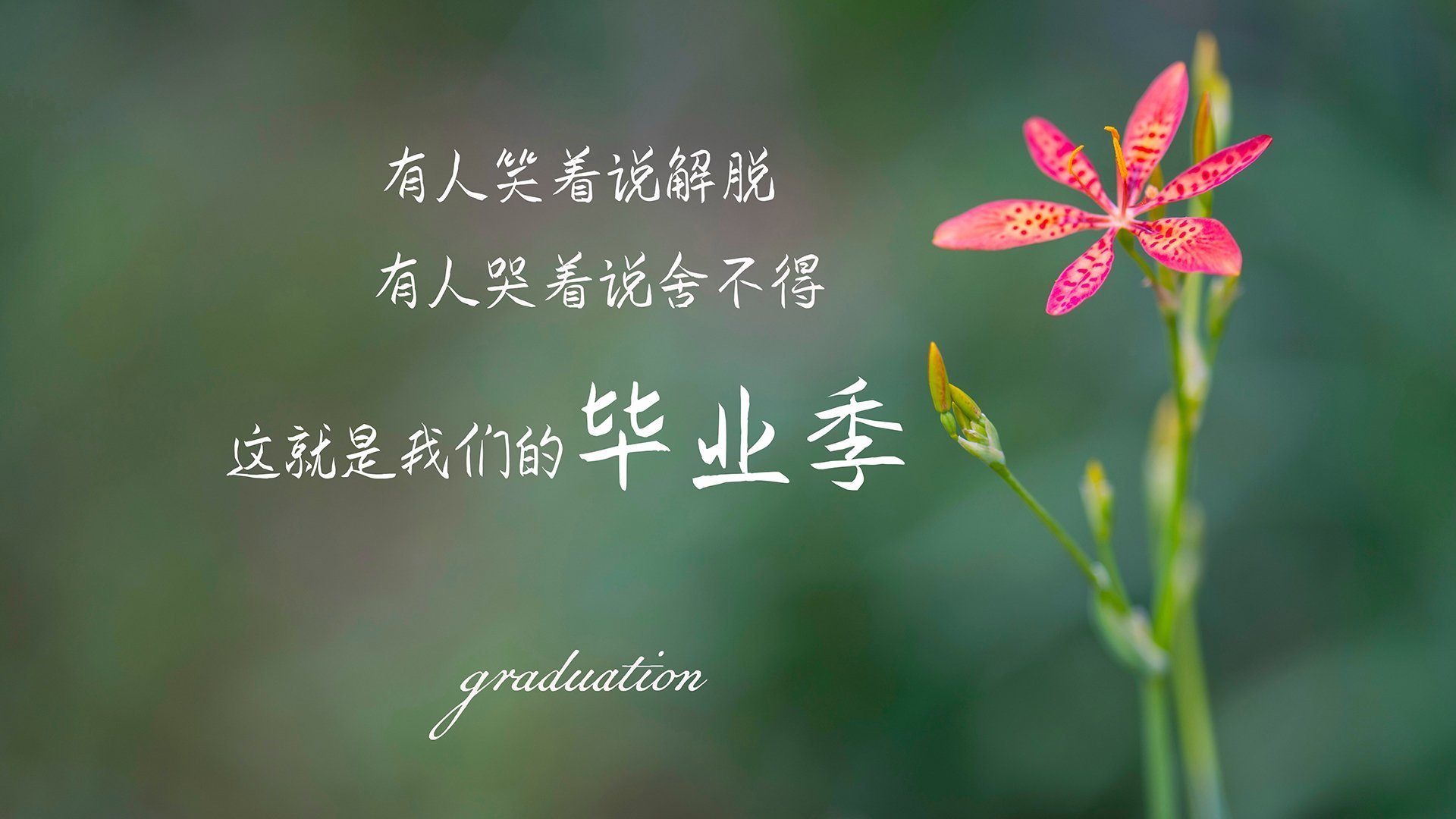 从温网滑铁卢到总决赛加冕，蒂姆如何用一场自我革命惊艳世界？