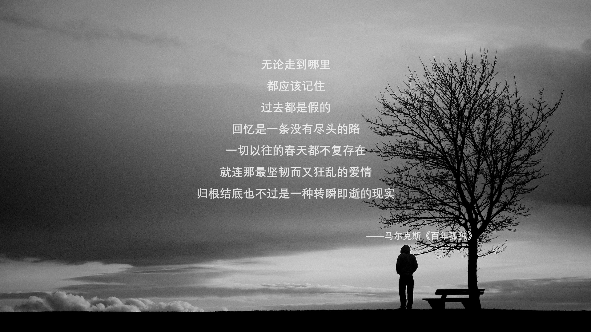 从年终总决赛到戴维斯杯，辛纳的泪与火，一场败局的逆袭与统治级的加冕