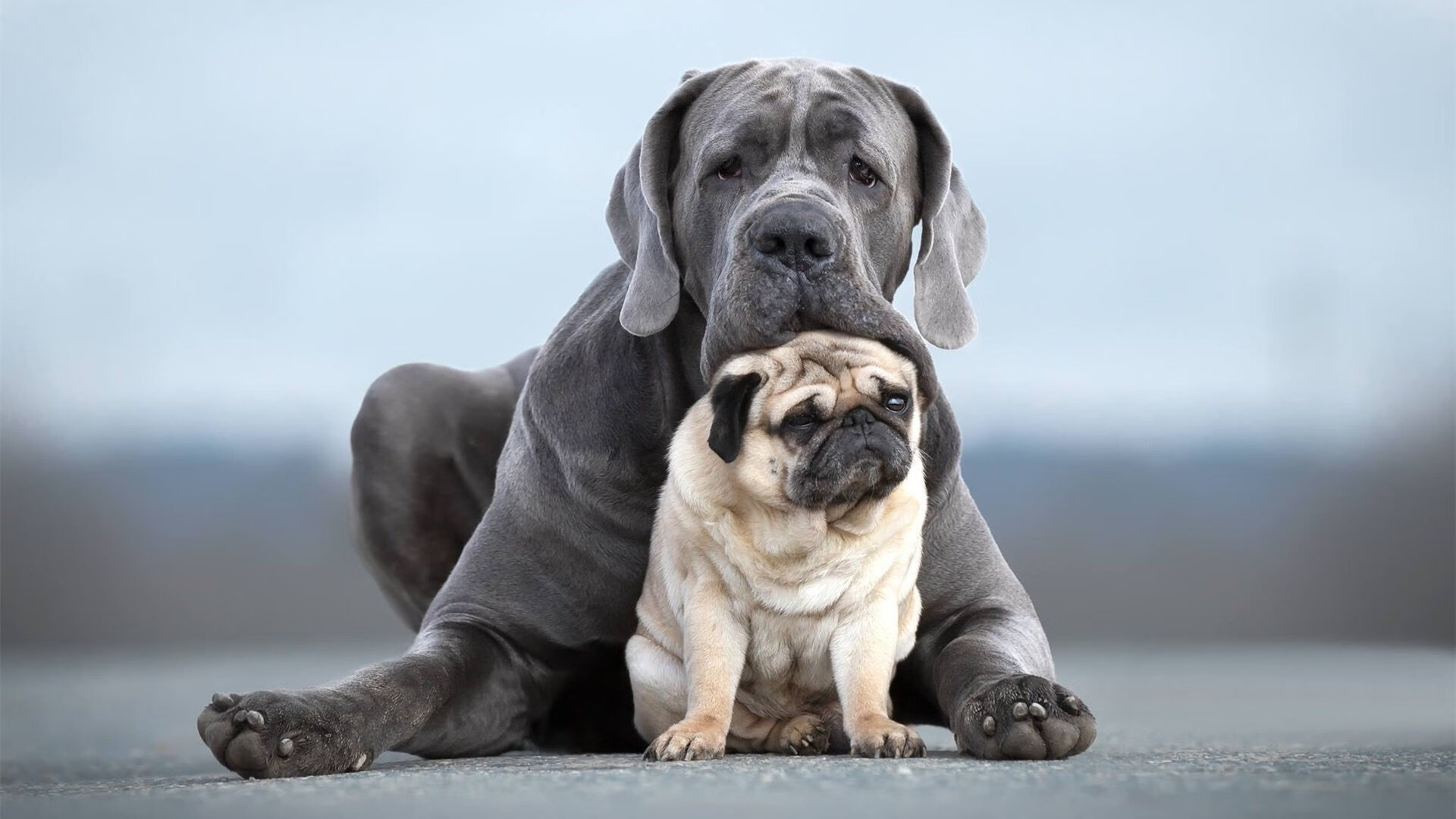 爱游戏官方-当库里成为热火火焰，一场虚拟对决中的攻防统治