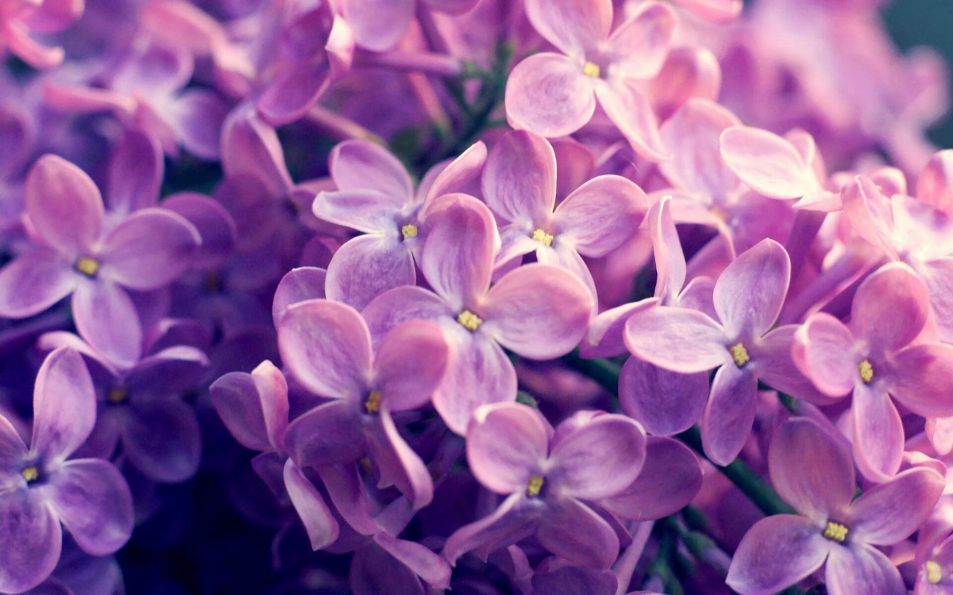 爱游戏tv-乔治流星雨撕裂夜空，连续单打助湖人两分险胜雷霆