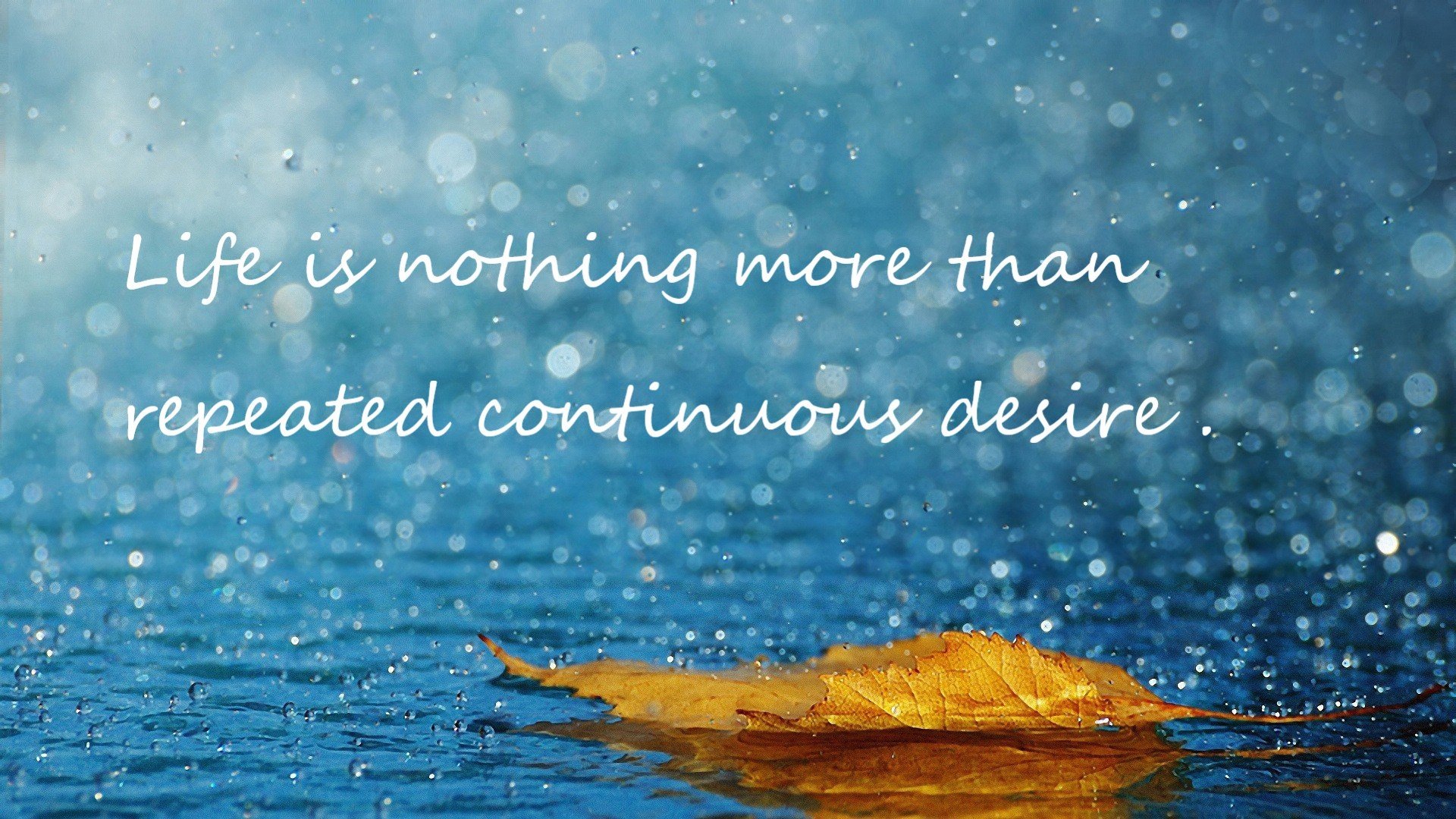 逆境中的奇迹，深圳队如何拆解猛龙，福克斯成为关键先生