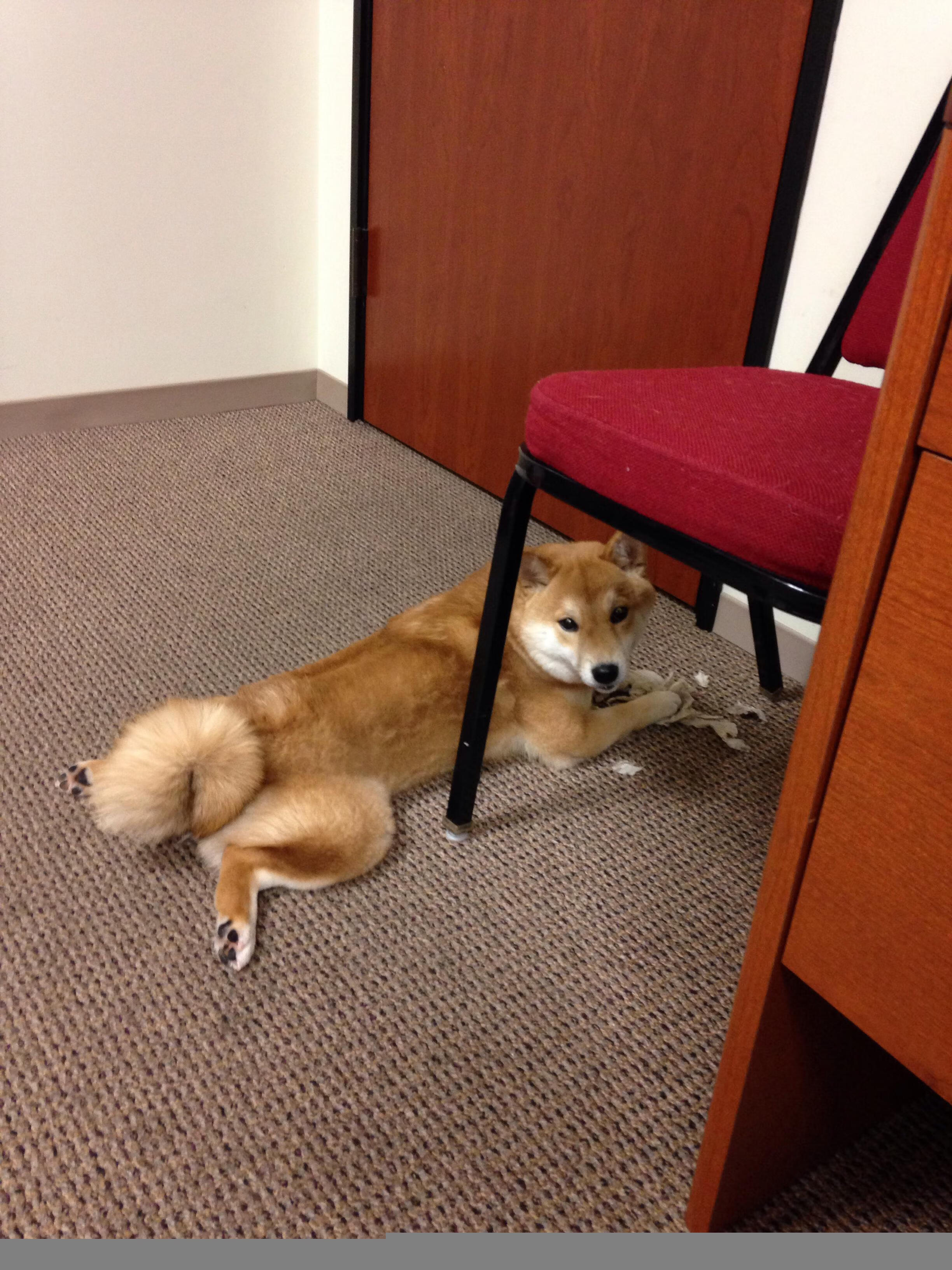 当39岁的勒布朗抬头望去,文班亚马正在他面前表演天赋的轮回