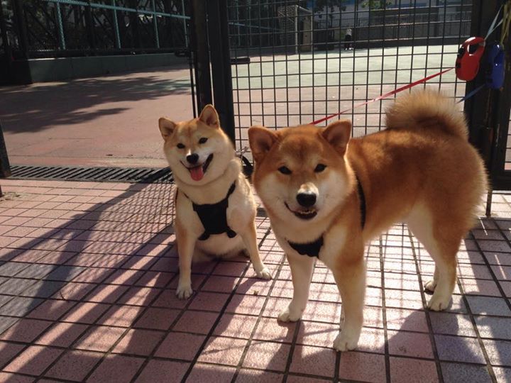 爱游戏在线-时空交错之战，印第安纳步行者血拼浙江稠州，杰伦·格林一箭定江山