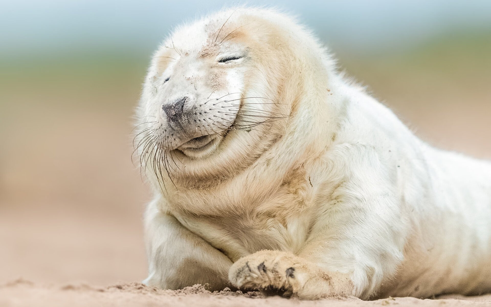 黄蜂突袭伯纳乌，国家德比悬念提前终结的魔术时刻