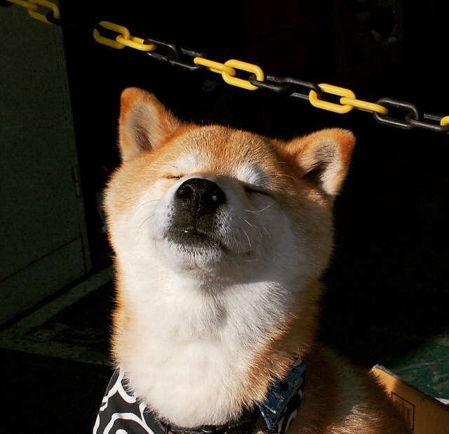 爱游戏tv-破冰之战！布伦森末节独揽狂澜，热火绝地求生抢下关键胜利