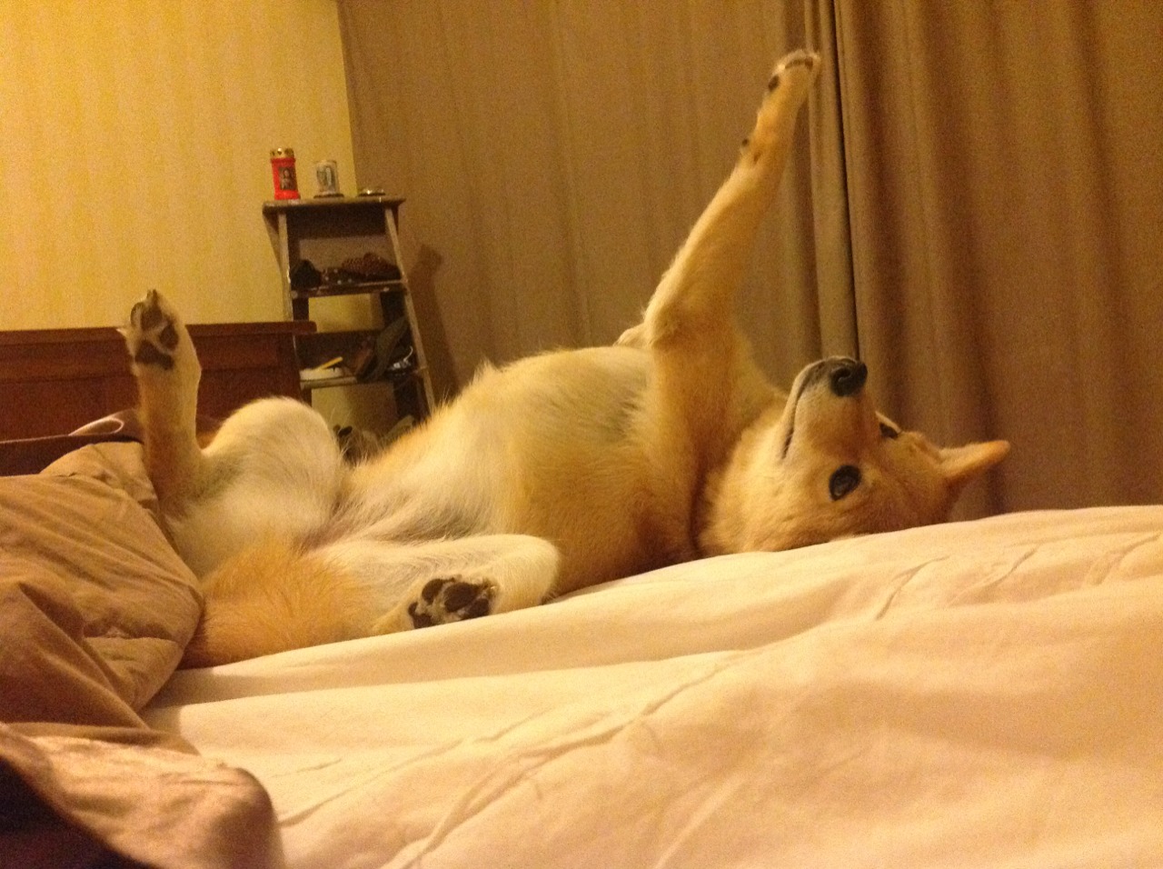 引擎轰鸣与地板撞击，当F1赛道遇见篮球圣殿