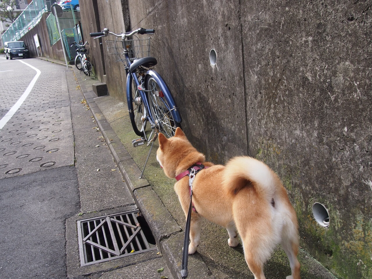 爱游戏官方-降维打击，德布劳内的手术刀传球与美军的击溃行动—当足球智慧邂逅军事谋略