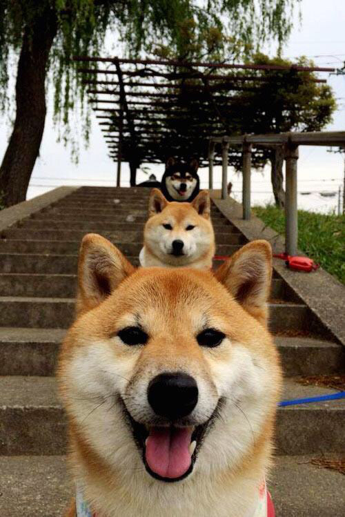 唯一答案，活塞用钢铁洪流为抢七写下终极定义