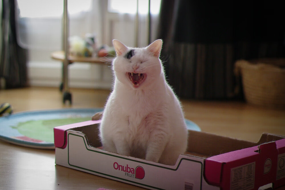 鏖战东欧，孤胆英雄阿什拉夫一锤定音，智利险破波兰铁壁