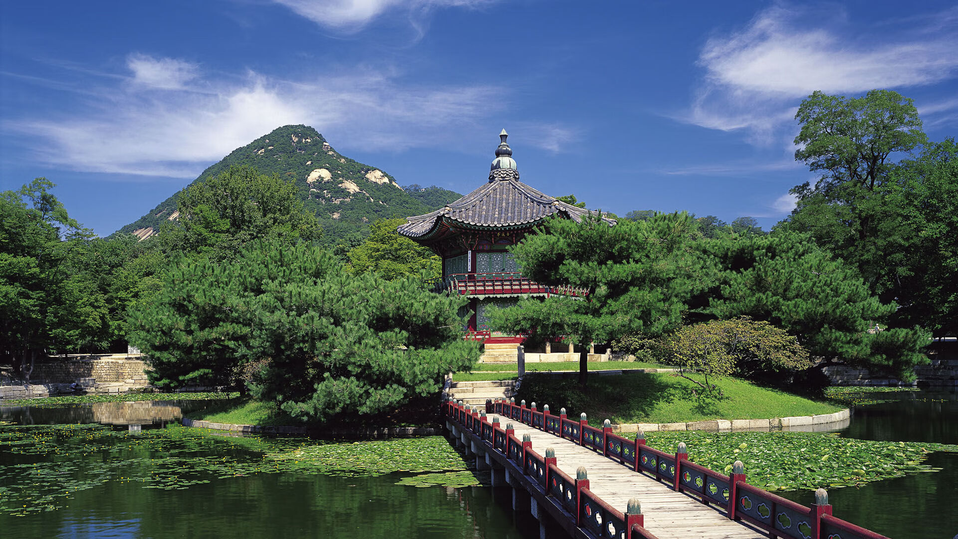 以下是为您撰写的文章
