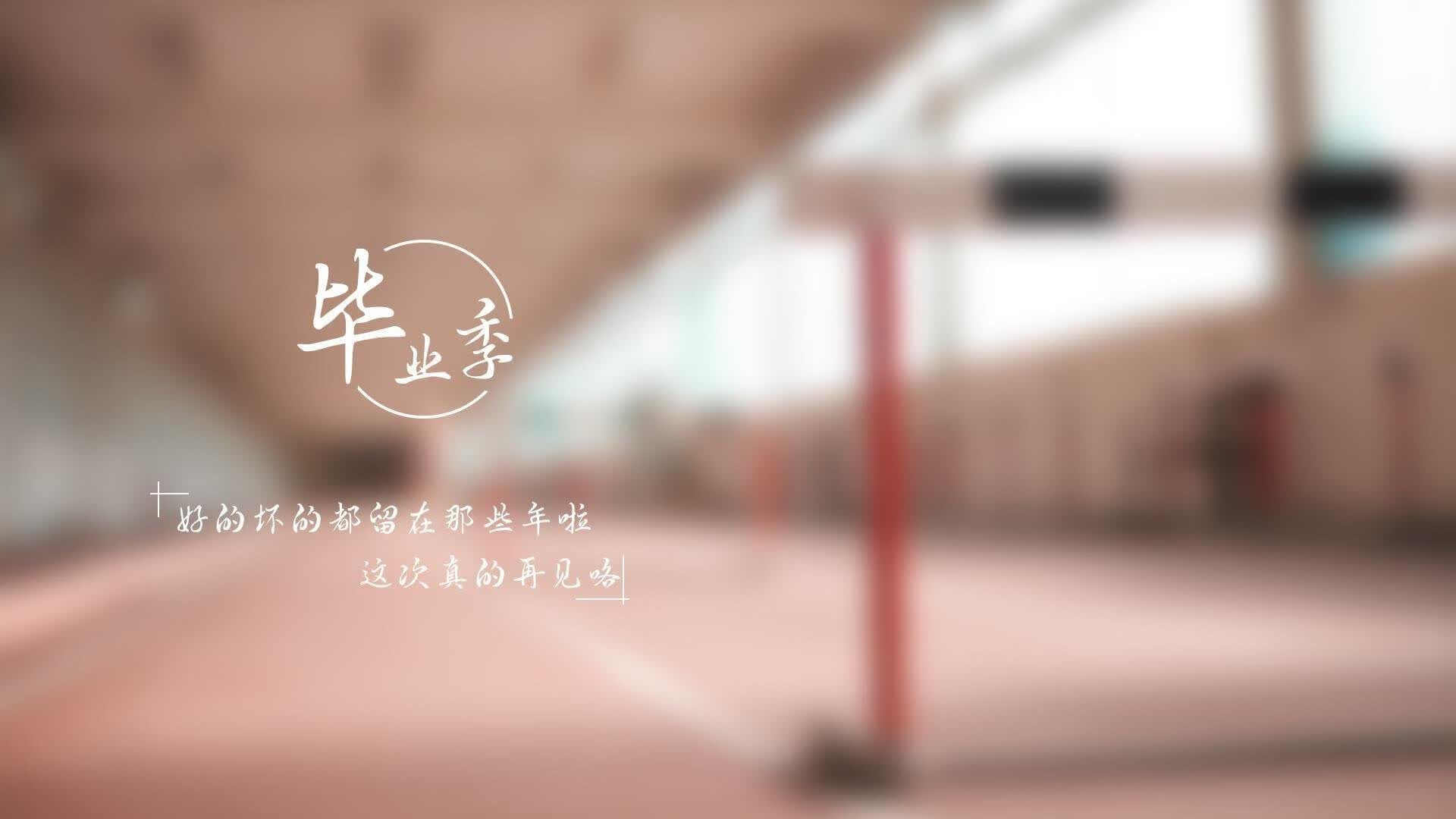爱游戏体育-冰与火之歌，2026世界杯F组，加维用唯一性定义德国战车的冰岛突围