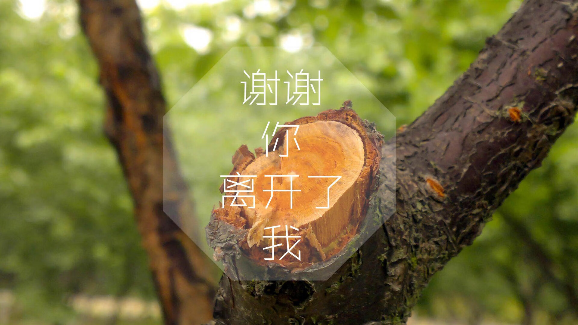 生死战唯一剧本，法国碾压乌拉圭，吉鲁封神之夜，没有之一